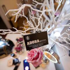 Adora Hotel гостиничный бар