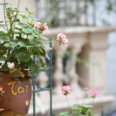 Отель Minimalism Home/Homestay Easternstay