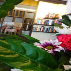 Athome Hotel @Nanai 8 развлечения