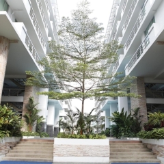 Отель Waterford Condominium Sukhumvit 50 Бангкок фото 7