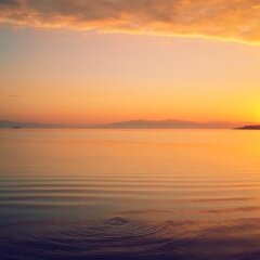 Urla Yelken Hotel Турция, Урла - отзывы, цены и фото номеров - забронировать отель Urla Yelken Hotel - Adults Only онлайн пляж фото 2