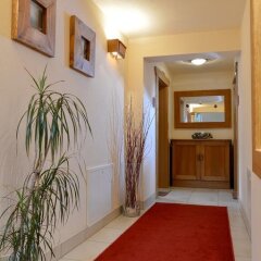Апартаменты Bergviewhaus Apartments интерьер отеля