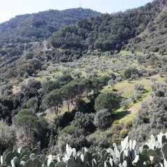 Отель Azienda Agrituristica Le Puzelle Санта Северина фото 4