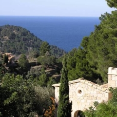 Отель Agroturismo S'Olivar Испания, Эстелленс - отзывы, цены и фото номеров - забронировать отель Agroturismo S'Olivar онлайн пляж