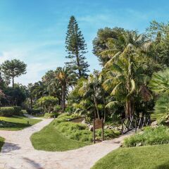 Отель Don Carlos Leisure Resort & Spa фото 10