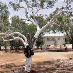 Fitzroy River Lodge in Fitzroy Crossing, Australia from 308$, photos, reviews - zenhotels.com photo 10