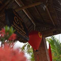 Отель The Grass Vy Homestay Хойан развлечения