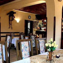 Guest House Belvedere in Bansko, Bulgaria from 31$, photos, reviews - zenhotels.com photo 4