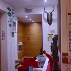 Отель Coppola MyHouse бассейн фото 2
