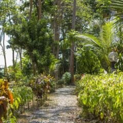 Отель Lanta Coral Beach Resort Ланта фото 12