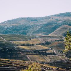 Отель Rural Quinta Do Silval Алижо фото 15