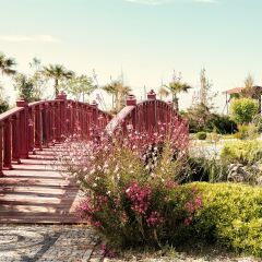 Отель Flora Garden Beach Club - Adults Only фото 10