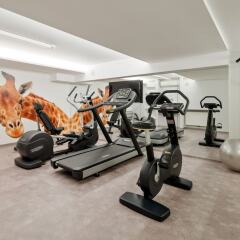 Отель Austria Trend Hotel Zoo Австрия, Вена - отзывы, цены и фото номеров - забронировать отель Austria Trend Hotel Zoo онлайн фитнесс-зал фото 3