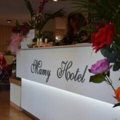 Hotel Mamy развлечения фото 2