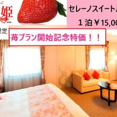 Andiamo Partenza Hotel Хашима детские мероприятия