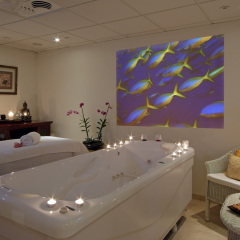 Hotel Bon Sol спа