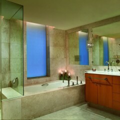 Отель The Ritz-Carlton, Dubai International Financial Centre ванная