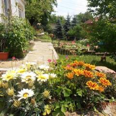Отель Venikula Guest House Боженци