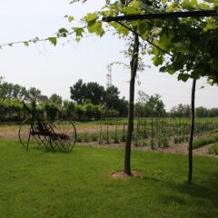Отель Agriturismo Ca' Marcello Италия, Мира - отзывы, цены и фото номеров - забронировать отель Agriturismo Ca' Marcello онлайн детские мероприятия