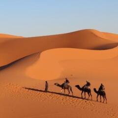 Отель Auberge Kasbah Des Dunes Марокко, Мерзуга - отзывы, цены и фото номеров - забронировать отель Auberge Kasbah Des Dunes онлайн фото 4