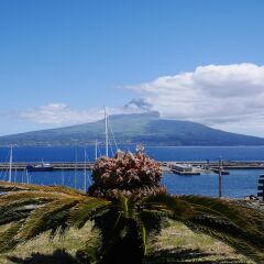 Отель Faial Resort Орта приотельная территория фото 2