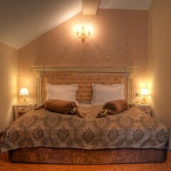 Отель Boutique Hotel Iva - Elena Болгария, Пампорово - отзывы, цены и фото номеров - забронировать отель Boutique Hotel Iva - Elena онлайн фото 13