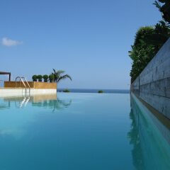 Warwick Palm Beach Hotel бассейн