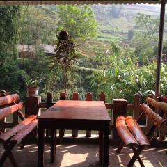 Отель Muong Hoa Homestay питание фото 3