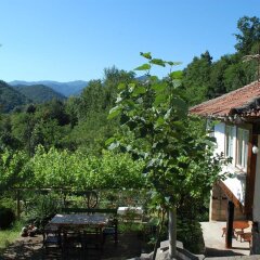 Отель Holiday Home Lyubovo Болгария, Боженци - отзывы, цены и фото номеров - забронировать отель Holiday Home Lyubovo онлайн