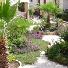 Отель Adriana Holiday Resort Кипр, Пафос - отзывы, цены и фото номеров - забронировать отель Adriana Holiday Resort онлайн фото 3