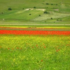 Hotel Ristorante La Fattoria Сполето спортивное сооружение