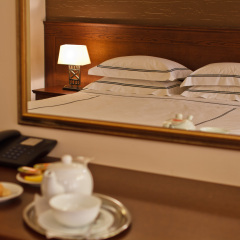 Hotel Vega Sofia в номере
