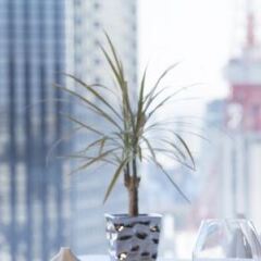 Отель Ana Intercontinental Tokyo Япония, Токио - 1 отзыв об отеле, цены и фото номеров - забронировать отель Ana Intercontinental Tokyo онлайн пляж