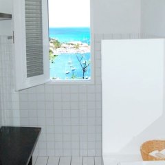 Villa Serenity in Gustavia, Saint Barthelemy from 1448$, photos, reviews - zenhotels.com bathroom