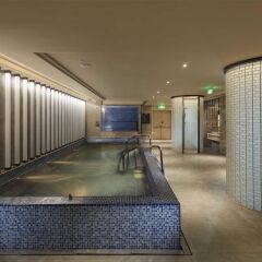 Отель Hilton Shenzhen Shekou Nanhai с домашними животными