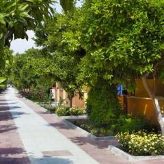 Hotel Ozlem Garden - All Inclusive фото 14