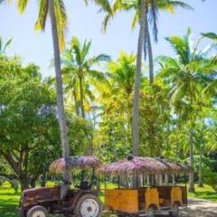 Отель Plantation Island Resort Фиджи, Остров Малоло-Лайлай - отзывы, цены и фото номеров - забронировать отель Plantation Island Resort онлайн городской автобус