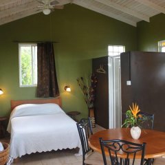 Jacoway Inn in Massacre, Dominica from 120$, photos, reviews - zenhotels.com guestroom