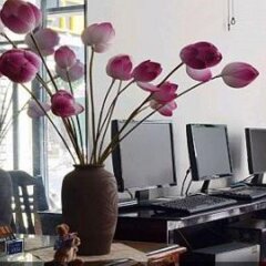 Tran Ly Hotel развлечения