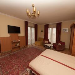 Отель Villa Muzsa Венгрия, Балатонфюред - отзывы, цены и фото номеров - забронировать отель Villa Muzsa онлайн удобства в номере