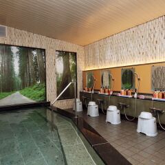 Kinugawa Kokusai Hotel Никко бассейн фото 3