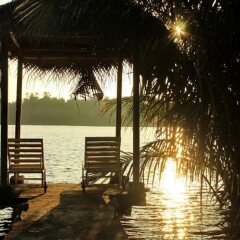 Отель Mangrove Villa Шри-Ланка, Бентота - отзывы, цены и фото номеров - забронировать отель Mangrove Villa онлайн приотельная территория
