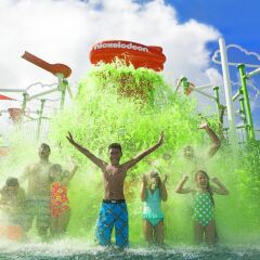 Отель Nickelodeon Hotels & Resorts Punta Cana - Gourmet с домашними животными