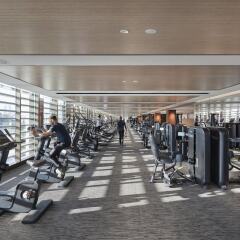 Отель Mandarin Oriental Jumeira, Dubai ОАЭ, Дубай - отзывы, цены и фото номеров - забронировать отель Mandarin Oriental Jumeira, Dubai онлайн фитнесс-зал