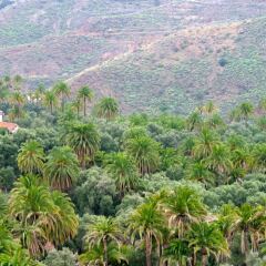 Отель Casa Rural La Montañeta фото 18