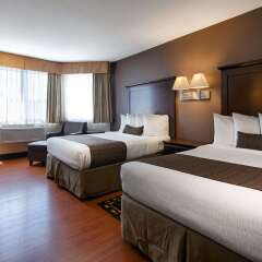 Отель Best Western Plus Dragon Gate Inn США, Лос-Анджелес - отзывы, цены и фото номеров - забронировать отель Best Western Plus Dragon Gate Inn онлайн комната для гостей фото 4