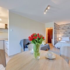Апартаменты Lion Apartments -Muszelka Сопот в номере
