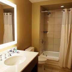 Отель Wyndham Grand Chicago Riverfront ванная