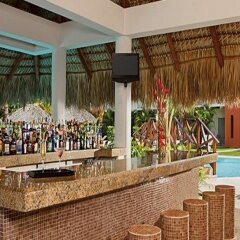 Отель Now Garden Punta Cana All Inclusive Доминикана, Пунта Кана - 1 отзыв об отеле, цены и фото номеров - забронировать отель Now Garden Punta Cana All Inclusive онлайн гостиничный бар