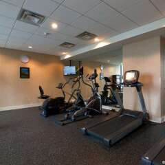 Отель Holiday Inn Vancouver Centre Канада, Ванкувер - отзывы, цены и фото номеров - забронировать отель Holiday Inn Vancouver Centre онлайн фитнесс-зал фото 2